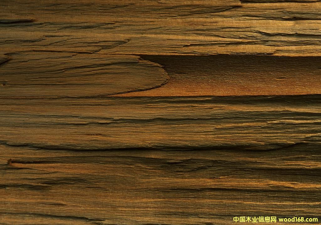 ľ6