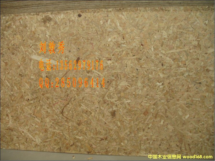 OSBٻa(chn) RؔľI(y)13562979176