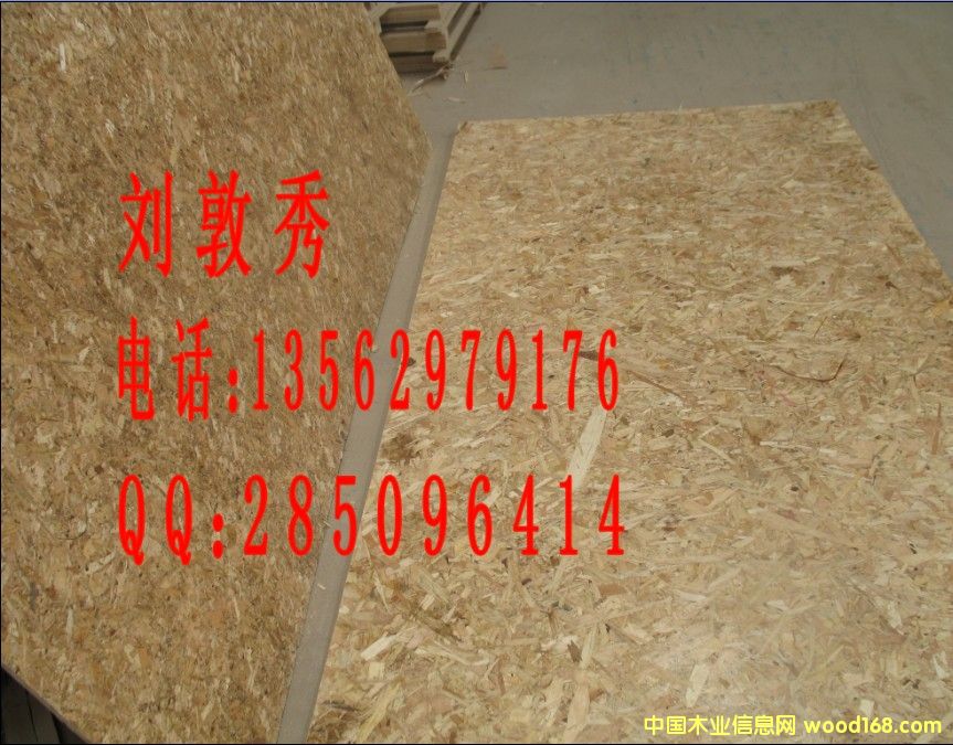 OSBٻa(chn) RؔľI(y)13562979176