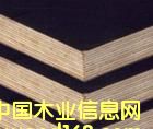 ģ