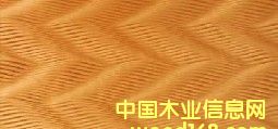 (yng)w˰Ԕ(x)B