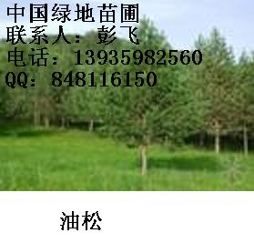 c鿴ɷŴDƬ