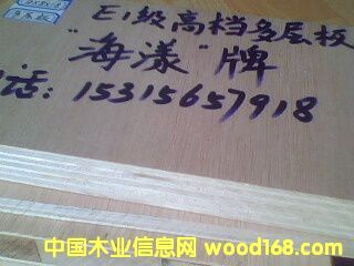 E1ߙnh(hun)ӼҾ߰