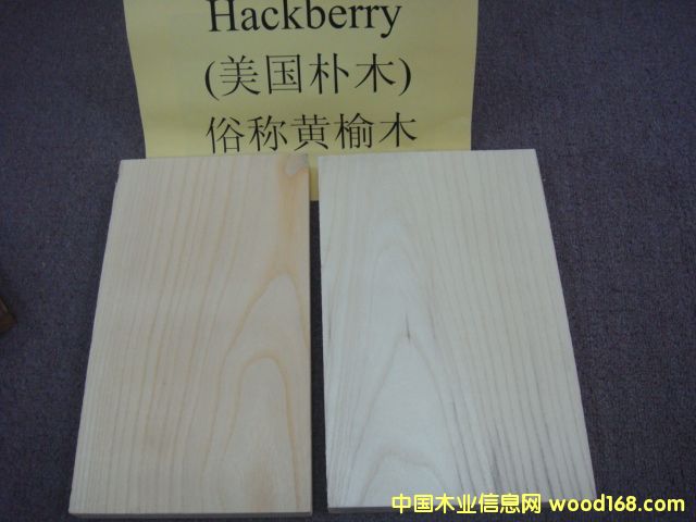 Sľ HackberryԔB