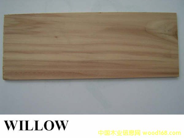 ľW(wng)illowԔB