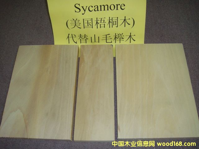ͩ SycamoreԔB