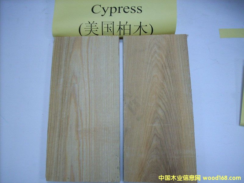 ľCypress