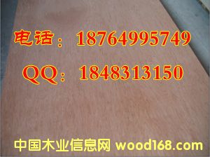 OSBٻ|(zh)(yu)r