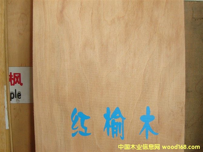 點(diǎn)擊查看紅榆木放大圖片