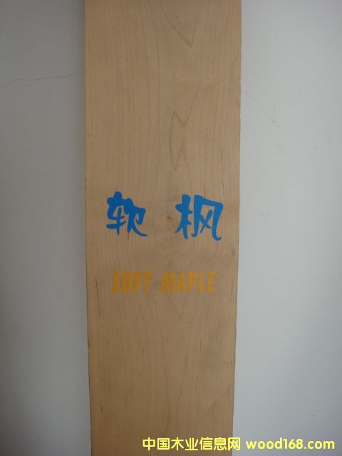 點(diǎn)擊查看軟楓放大圖片