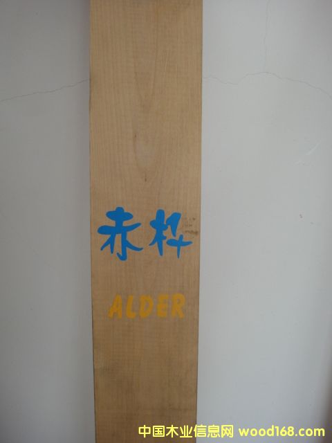 點(diǎn)擊查看赤樺（又名赤楊）放大圖片