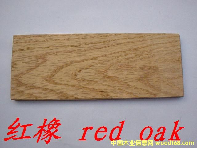 點(diǎn)擊查看紅橡放大圖片