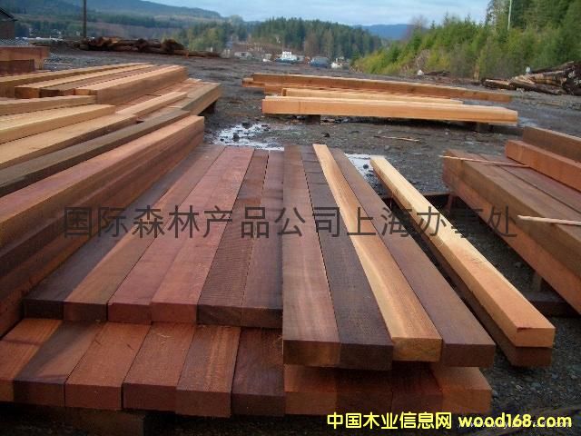 ôtѩREDCEDAR