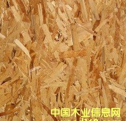 ⽨Įa(chn)Ʒ--OSB