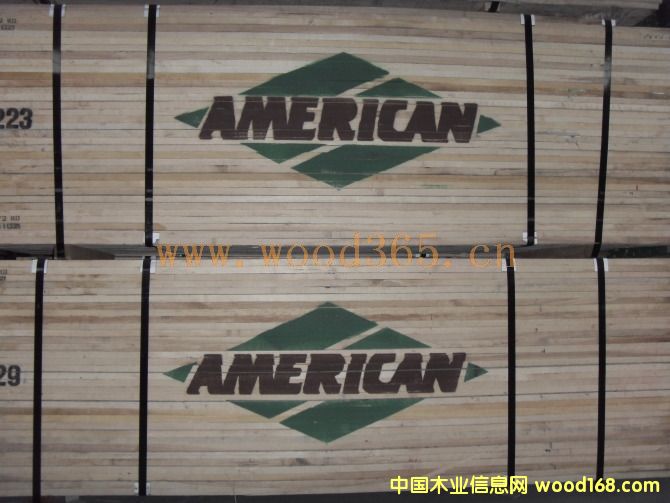 AMERICANԔ(x)B