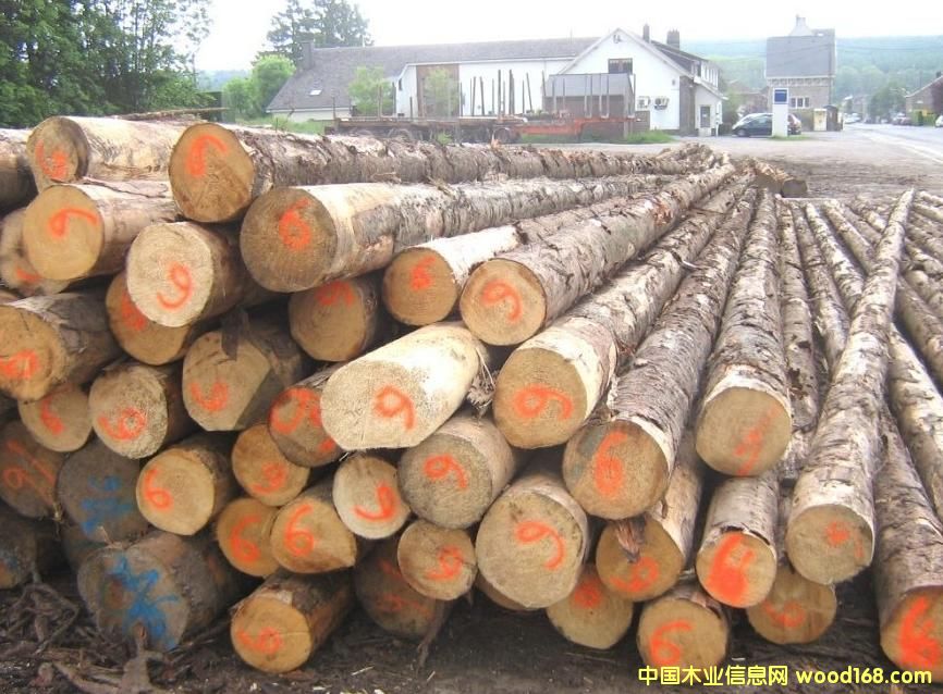 c鿴ľԭľľŴDƬ