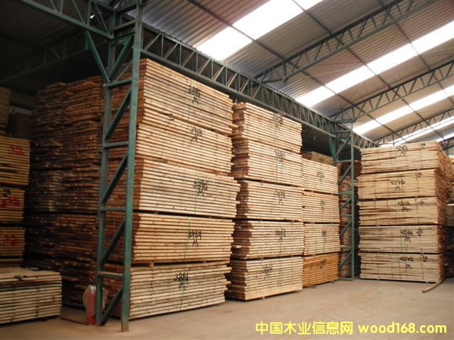 taeda pine 4Ԕ(x)B