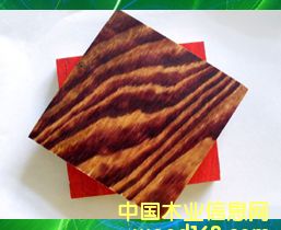ȩz潨ģԔ(x)B