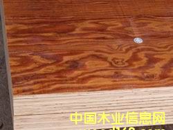 ȩz潨ģԔ(x)B