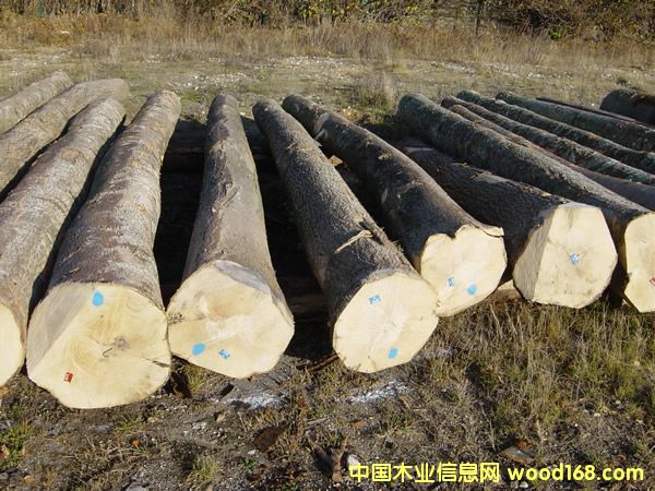 白臘 白臘