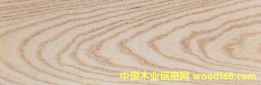 c(din)鿴(gu)ˮ White AshŴDƬ