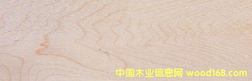 c(din)鿴Ӳ Hard MapleŴDƬ
