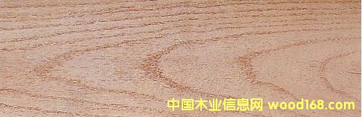 c(din)鿴t Red OakŴDƬ