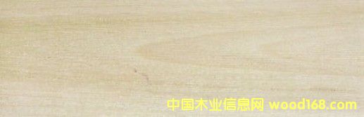 c(din)鿴(gu)S Yellow PoplarŴDƬ