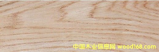 c(din)鿴 White OakŴDƬ