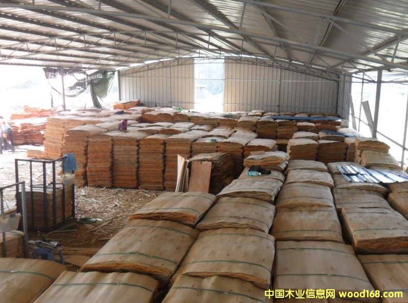 桉木單板一級 桉木單板一級
