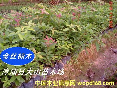 [] ľ(li)N磨}骡EС~ٻt骣