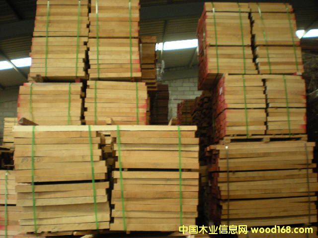 歐洲櫸木的詳細(xì)介紹