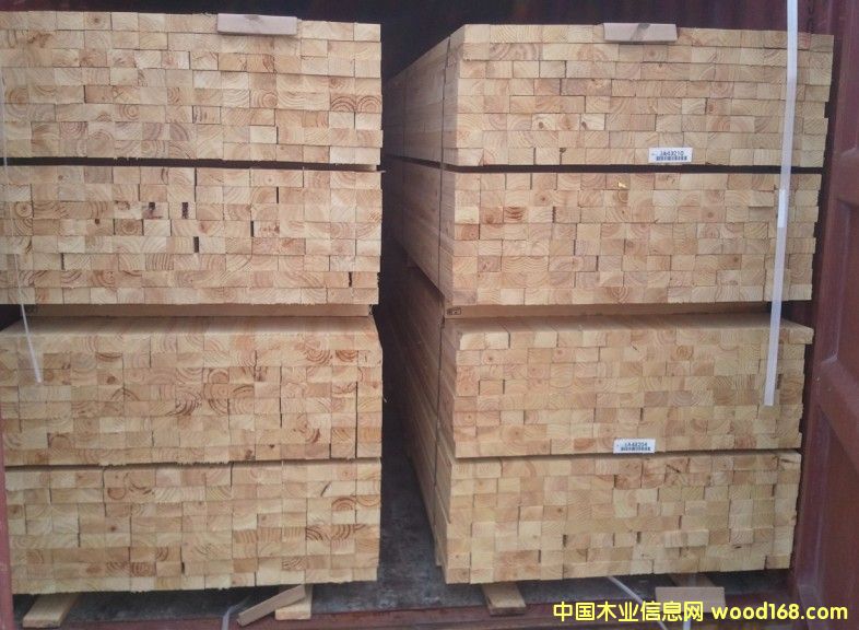 輻射松45*70 輻射松45*70