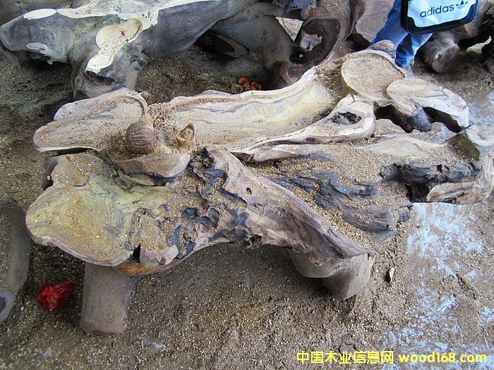 /uľ/Ȼ躣/(sh)ľݲ_(ti)