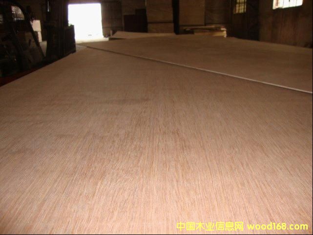 Keruing PlywoodԔ(x)B