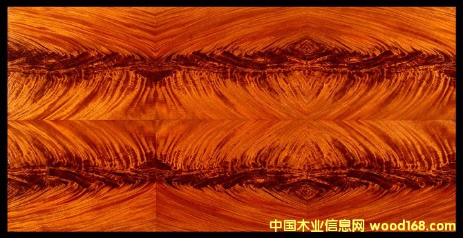 һо辵Ԕ(x)B