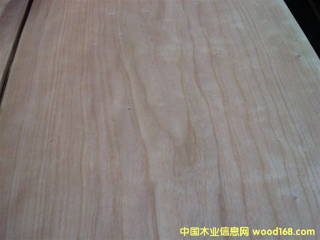 櫻桃的詳細(xì)介紹