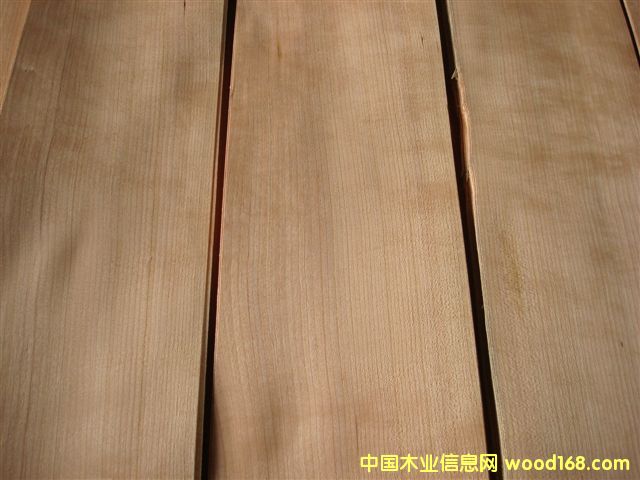 櫻桃的詳細(xì)介紹