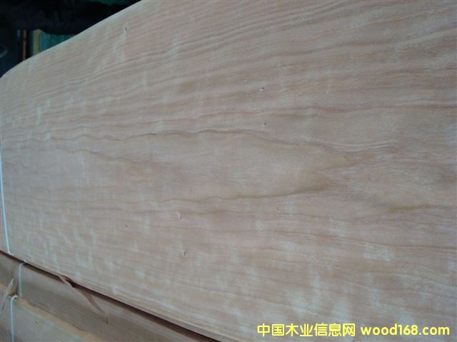 櫻桃的詳細(xì)介紹