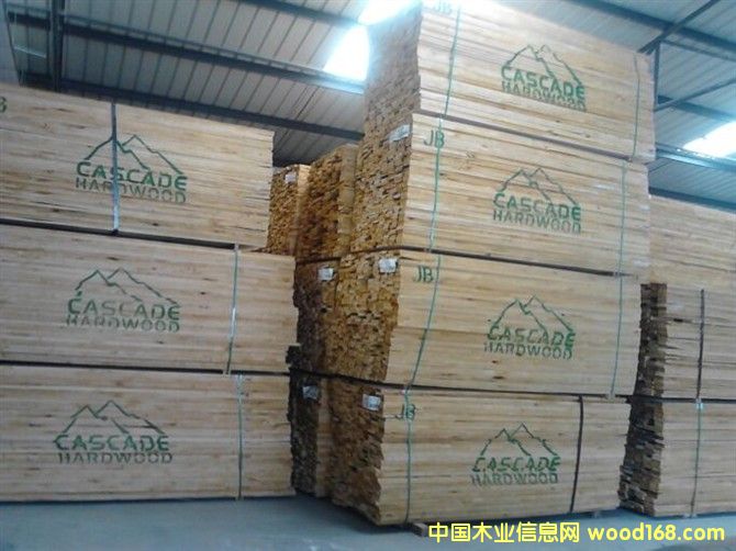 美國赤楊的詳細介紹