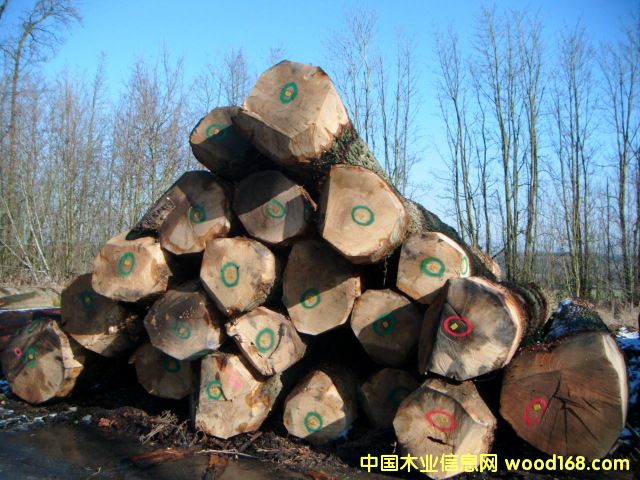 white oak logsԔ(x)B