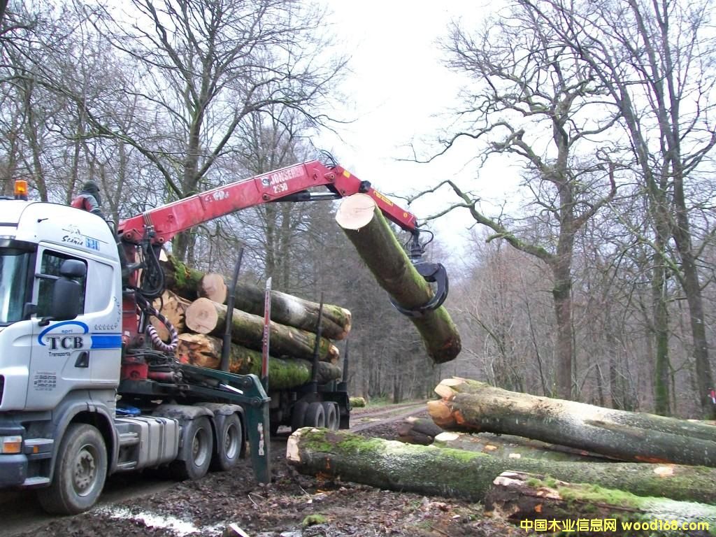 Beech logsԔ(x)B