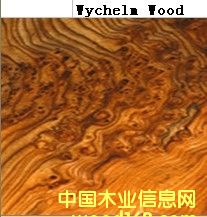 Mychelm WoodԔ(x)B