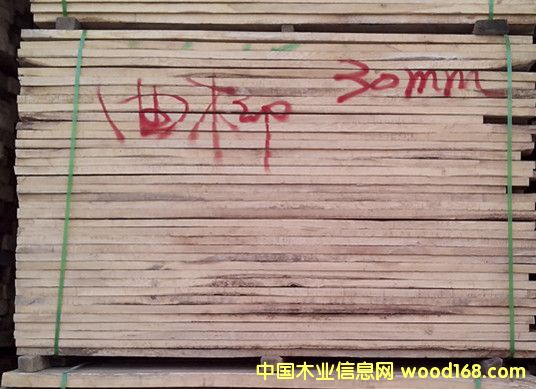 水曲柳的詳細介紹