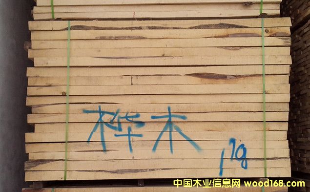 樺木的詳細介紹