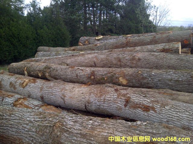 歐橡ABC級(jí) 歐橡ABC級(jí)