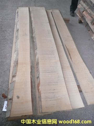 ľAAB