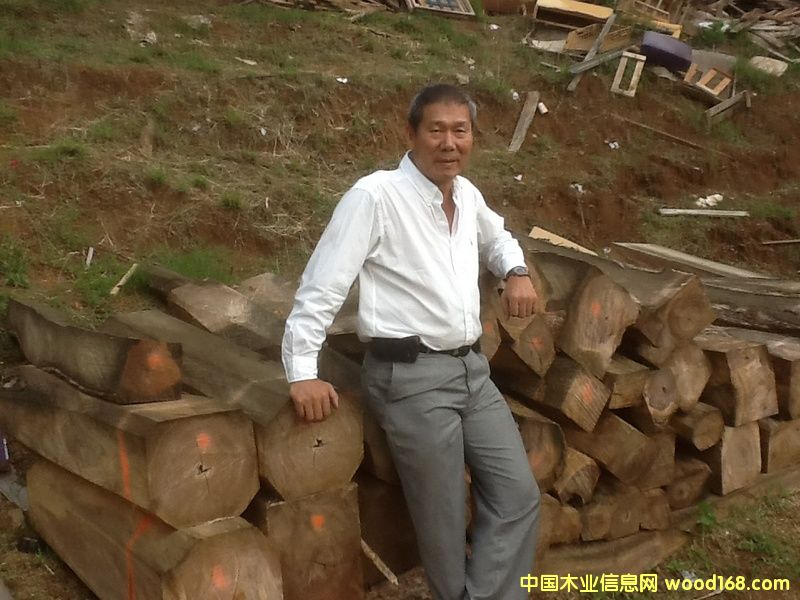 微凹黃檀 微凹黃檀