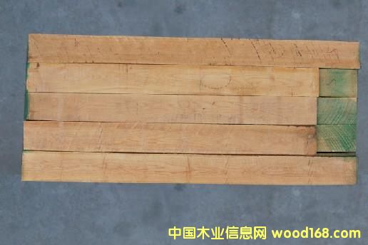 白橡木 白橡木