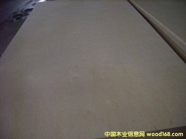面皮中心 面皮中心